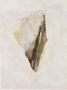 Heinrich-Ch-Fossil