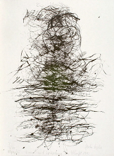Lepke_G_Baum-mit-Spiegelung